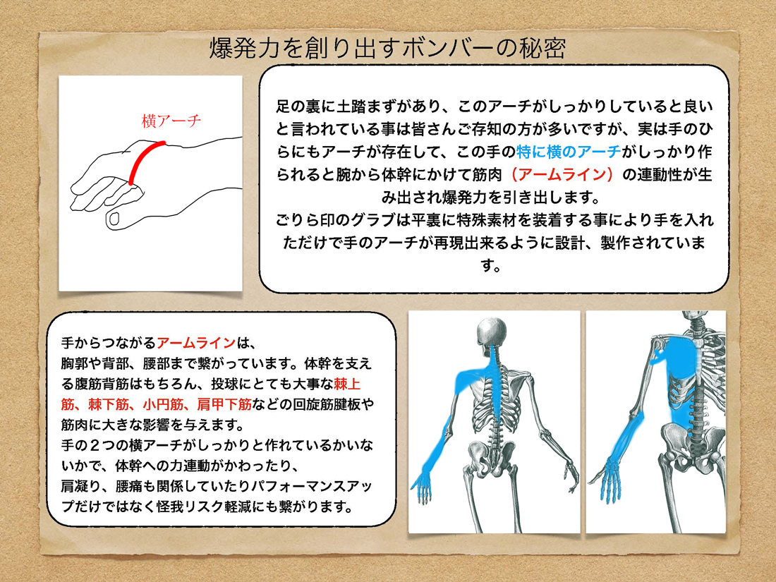 野球投手用グローブのごりら印の野球道具。投手の出力と個性を引き出して勝つ自分の今までの限界を超えるきっかけになるグラブです。現状なんとかしたい投手は是非はめてみたら新しい可能性と出逢うかもよ
            ※筋の連動性を劇的に創り出す
            ※力まなくても出力があがる
            ※身体の過度な負担を軽減
            ※投球障害リスク軽減
            指の力の入り方で投球は大きく変わる投手のグラブの本当の選び方大きい小さい縦とじ横閉じとかそんなんじゃない投球に合わせてグラブを合わせるグラブフィッティングという考え方これを地道に広めていくのだ